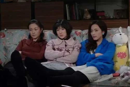 霍建华恋上<em>宁波妹</em>童蕾 一一向前冲家居照火花