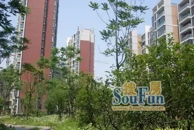 �³�����