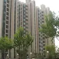 �����ʦ