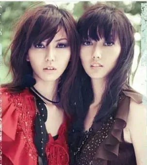 孙燕美酷似姐姐孙燕姿 五官精致姐妹难辨(图)_房