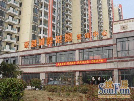 莱茵河畔花园买住宅送车位 沿街旺铺公开预约-合肥新房网-房天下