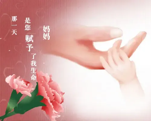 【感恩母亲节】望东丽湖万科城邻居齐来献<em>祝福</em>