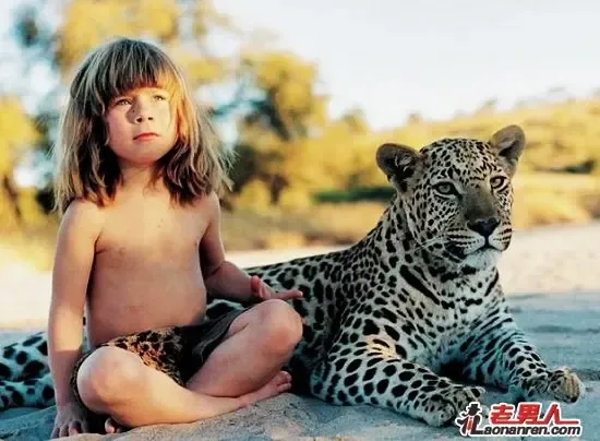 老虎狮子豹子蛇都是伴侣