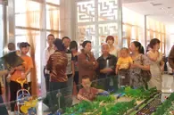 �����ǽ��������꿪����