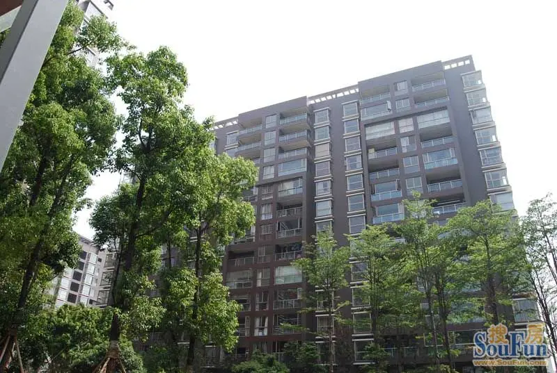 香樟俊园