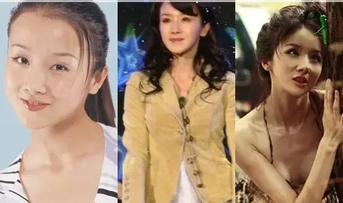 大S范冰冰<em>杨幕</em>等<em>整容前后</em>对比照遭曝光的30位