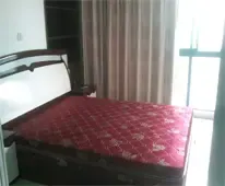 ��Ƶ����