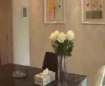 ��Ƶ����