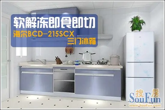 BCD-215SCXű ⶳʳ1