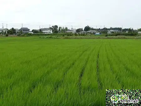 点击图片查看下一页