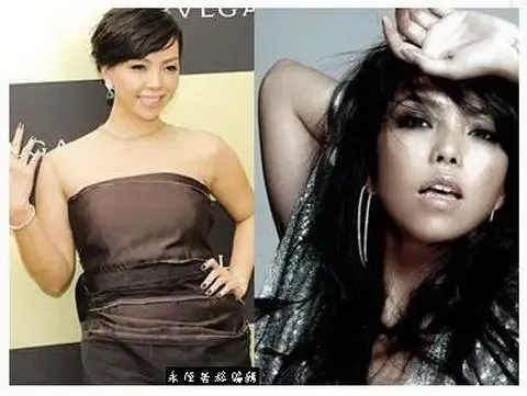  大s黄晓明 范冰冰 化妆师揭内幕明星101%有整