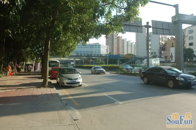 深圳罗湖新秀天桥图片