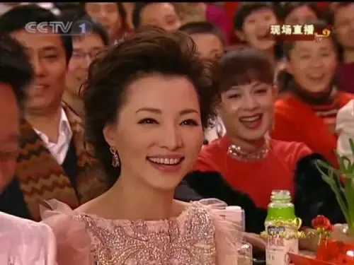 董卿小三变正室央视主持人豪宅工资曝光(图)-南