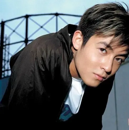 柏芝谢霆锋刘嘉玲 解密艺人背后的危机公关(图