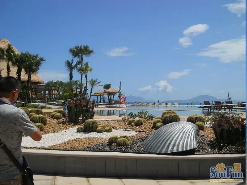 百名网友挺近碧桂园十里银滩 七五折优惠扰人