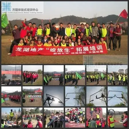 2011中国房地产行业综合实力十强企业排名(图