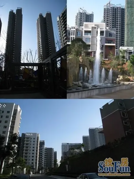 10月楼盘实景写真