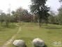 我心飞翔泰跃行