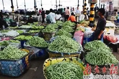 珠海农产品批发
