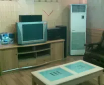 ��Ƶ����