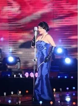 山与城海派情调恰在灯火南山处-土地资讯-中国