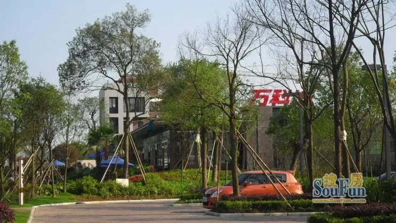 长沙地标再掀风云 明星楼盘成就人气区域