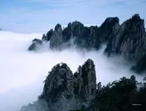 搜房业主论坛