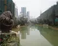 �����˹���