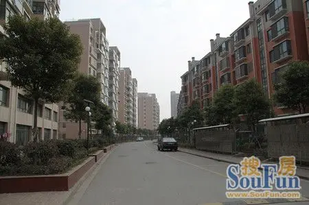 此次搜房网记者共探访了采菱公寓,青龙新市民广场,金安花园,金泽家园