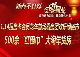 1.14看房团欢乐闹楼市