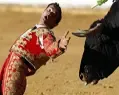 真不是找死