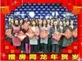 搜房网龙年贺岁