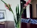 花最少钱装最温馨的家