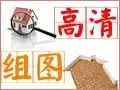 高清组图
