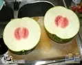 Ƥ��˺������