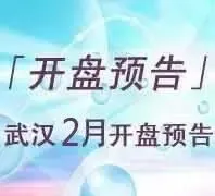武汉2012年2月开盘预告