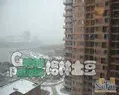 节日里的春岸