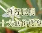 推荐十大低价盘