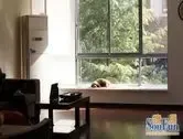 �ٴ󴺳�