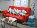 夫妻秀50平米婚房装修
