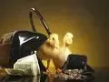 惊爆十大破财风水习惯