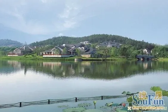 2011年中国城市居民满意度调查:绿城集团名列