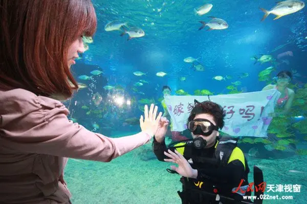 天津海昌极地海洋世界打造最浪漫海底情人节-天津商业地产网-搜房网