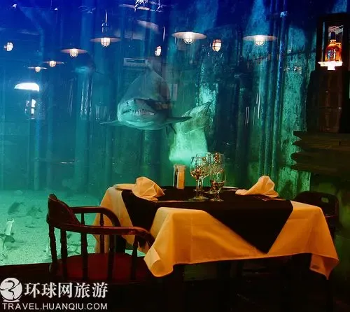 世界上最危险的餐厅 与鲨鱼共餐的 沉船餐厅 -
