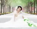 Ѱ����������Ӯ��