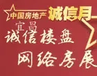 �˲����������緿չ