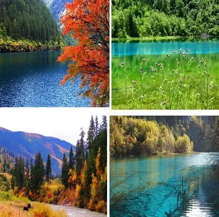 <em>女孩女人女</em>强人 13朵铿锵玫瑰绽放昆山地产圈