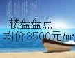 Ƶ���ͼ��� 10��¥�̲���8000Ԫ/�O