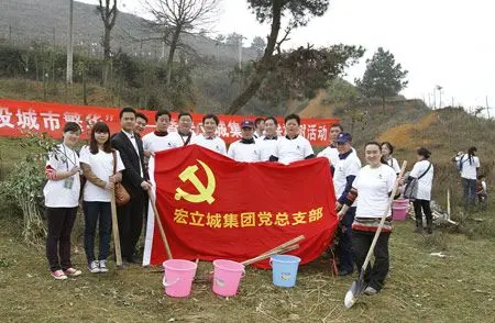 党旗在绿色的山岗上飘扬 宏立城党支部组织党员积极植树造林