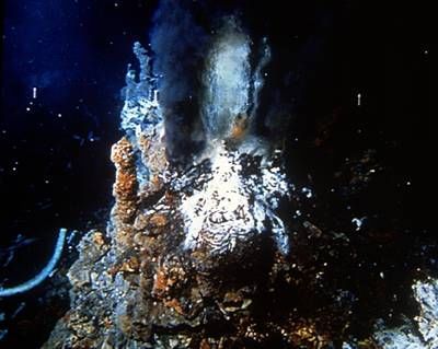 海底的热泉为某些生物提供了生存环境